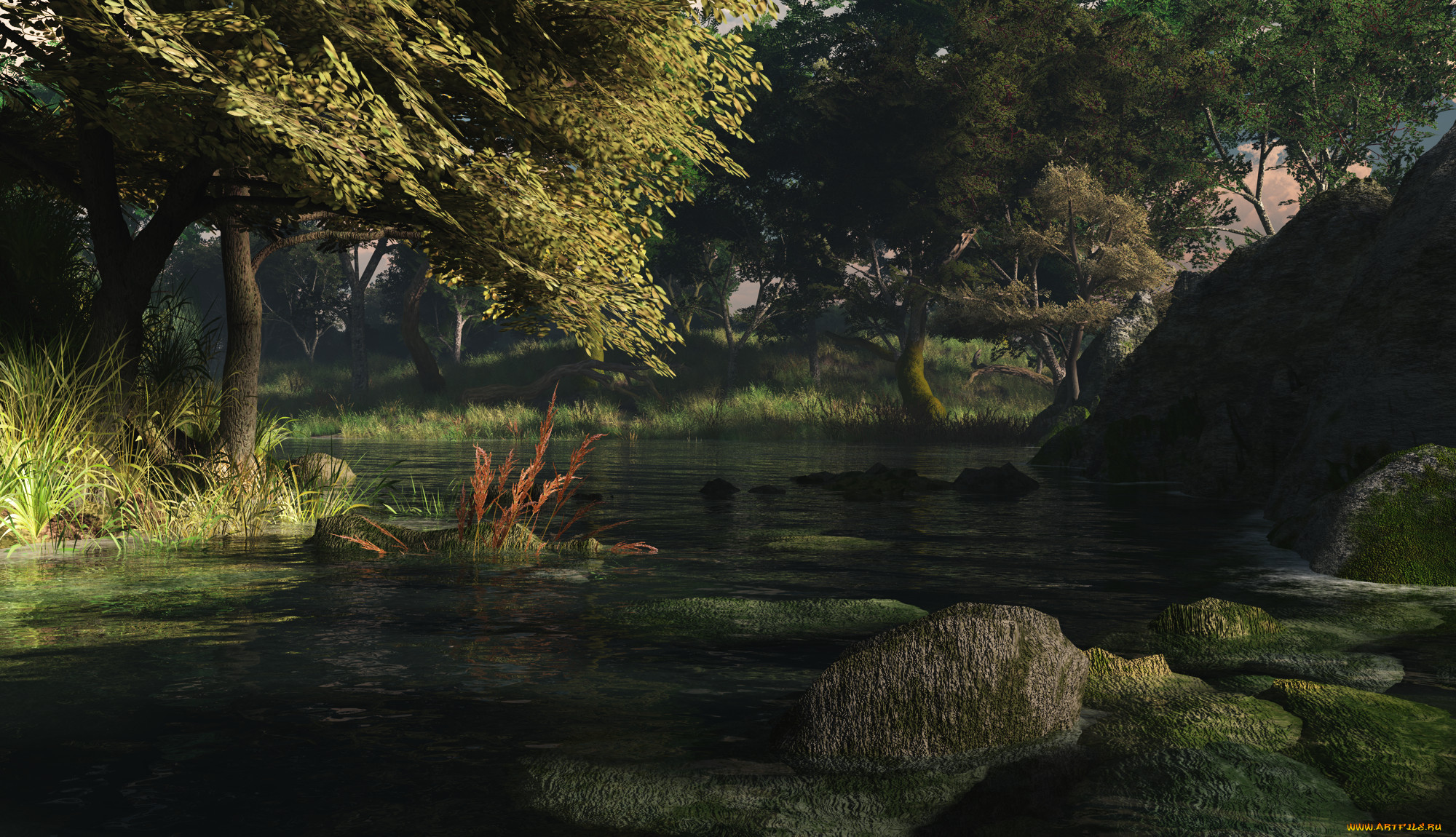 3 ,  , nature, , , 